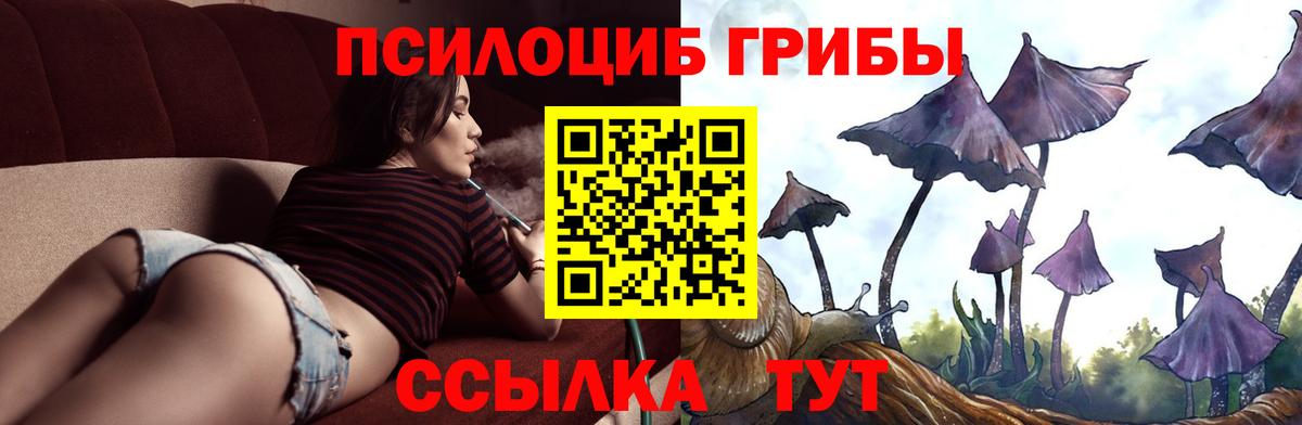 Псилоцибиновые грибы мухоморы Краснотурьинск